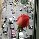 Vandrerhjem Play