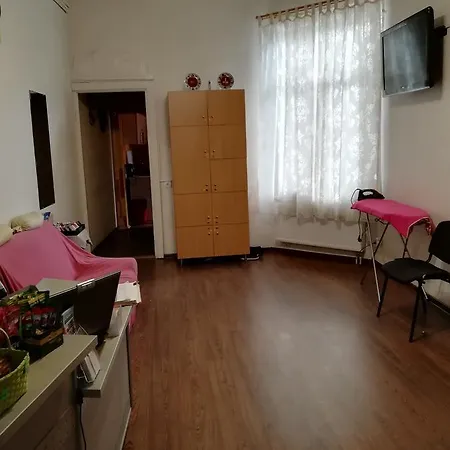 游乐旅舍 旅馆 *