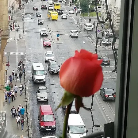 旅馆 游乐旅舍