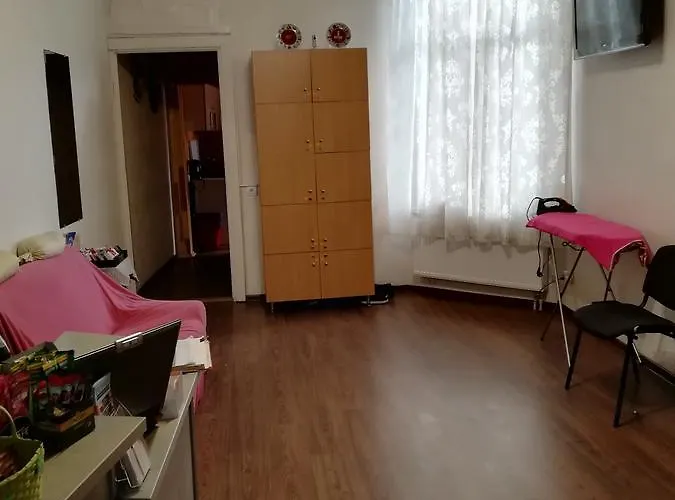 游乐旅舍 旅馆 *